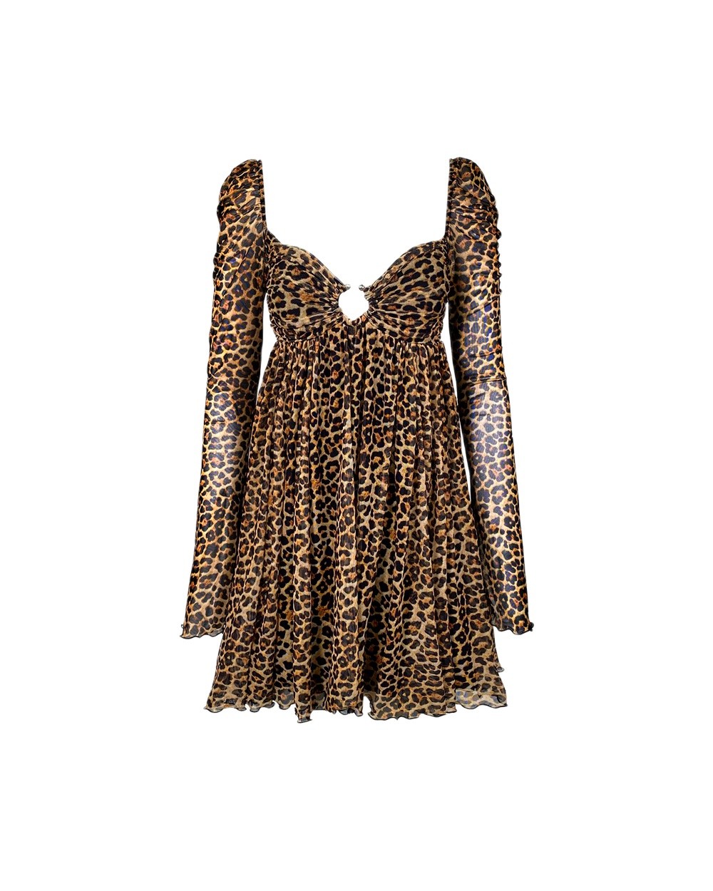 Leopard Print V-Neck Dress with Long Sleeves